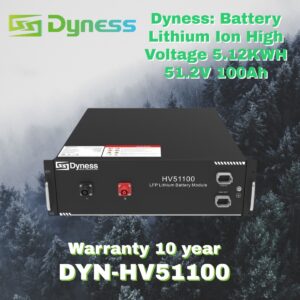 Dyness: Battery Lithium Ion High Voltage 5.12KWH 51.2V 100Ah (DYN-HV51100)